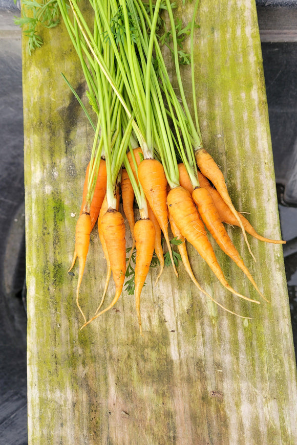 Baby Carrots