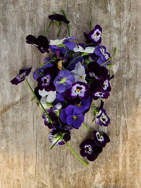Violas