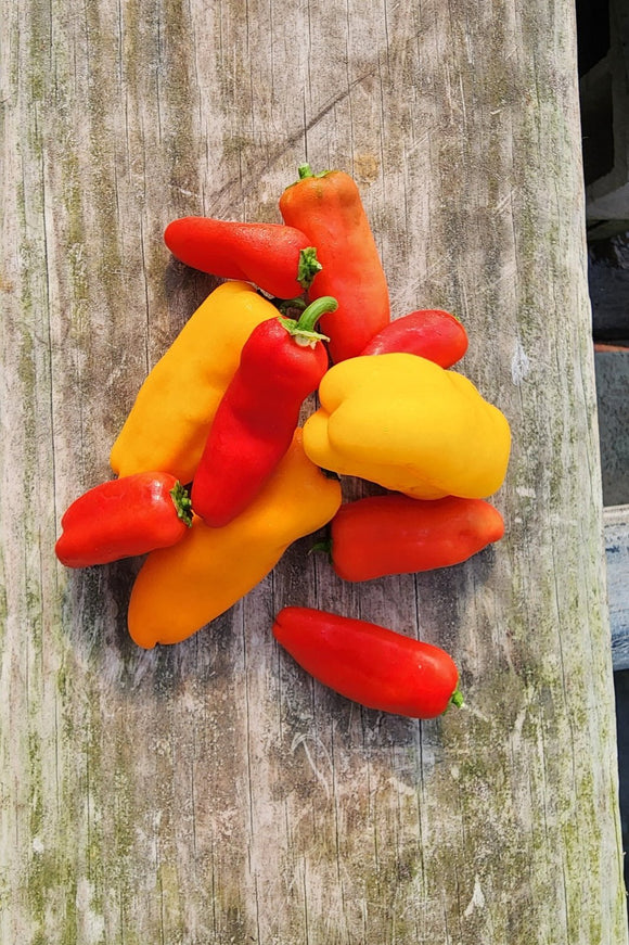 Lunchbox Peppers