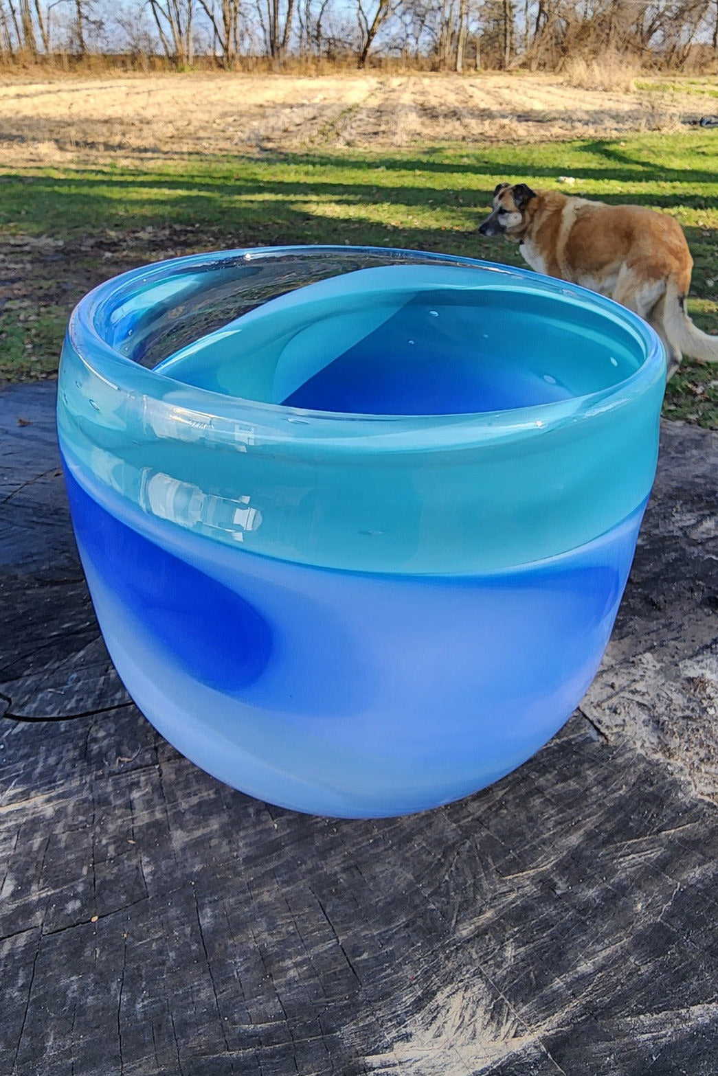 Blue Cloud Vessel