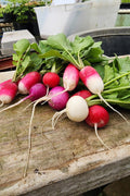 Mixed Radishes