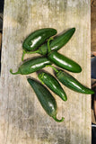 Jalapeño Peppers