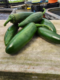 Jalapeño Peppers