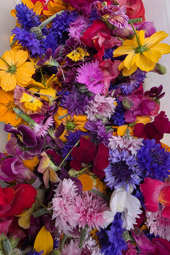 Mixed Edible Flowers