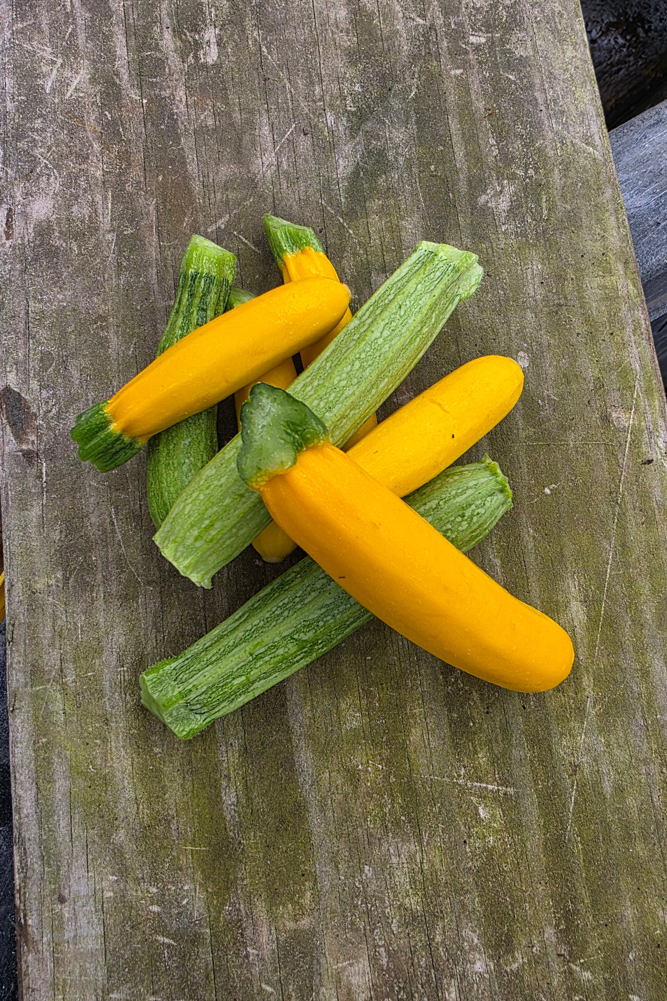 Mixed Summer Squash