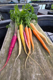 Carrots
