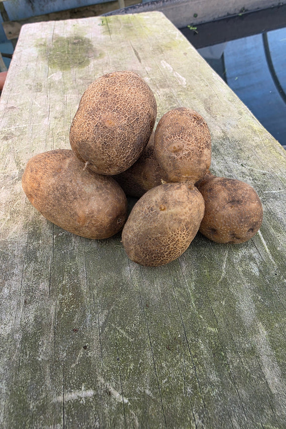 Russet Burbank Potatoes