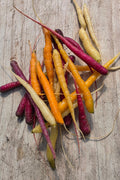 Tiny Carrots