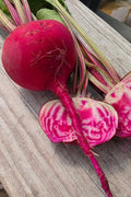 Chioggia Guardsmark Beets