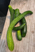 Mixed Cucumbers