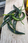 Chilaca Peppers