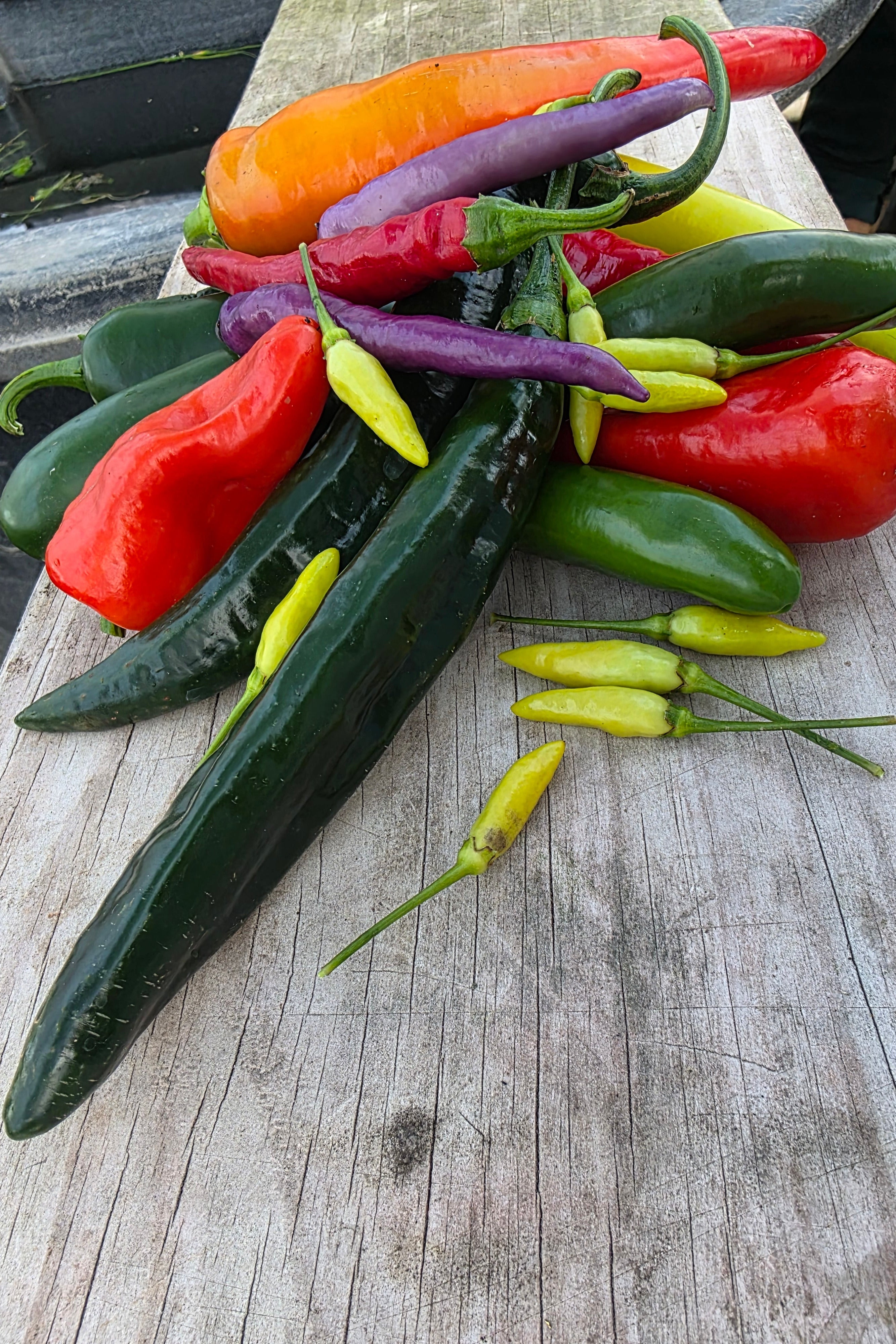 Hot Pepper Mix