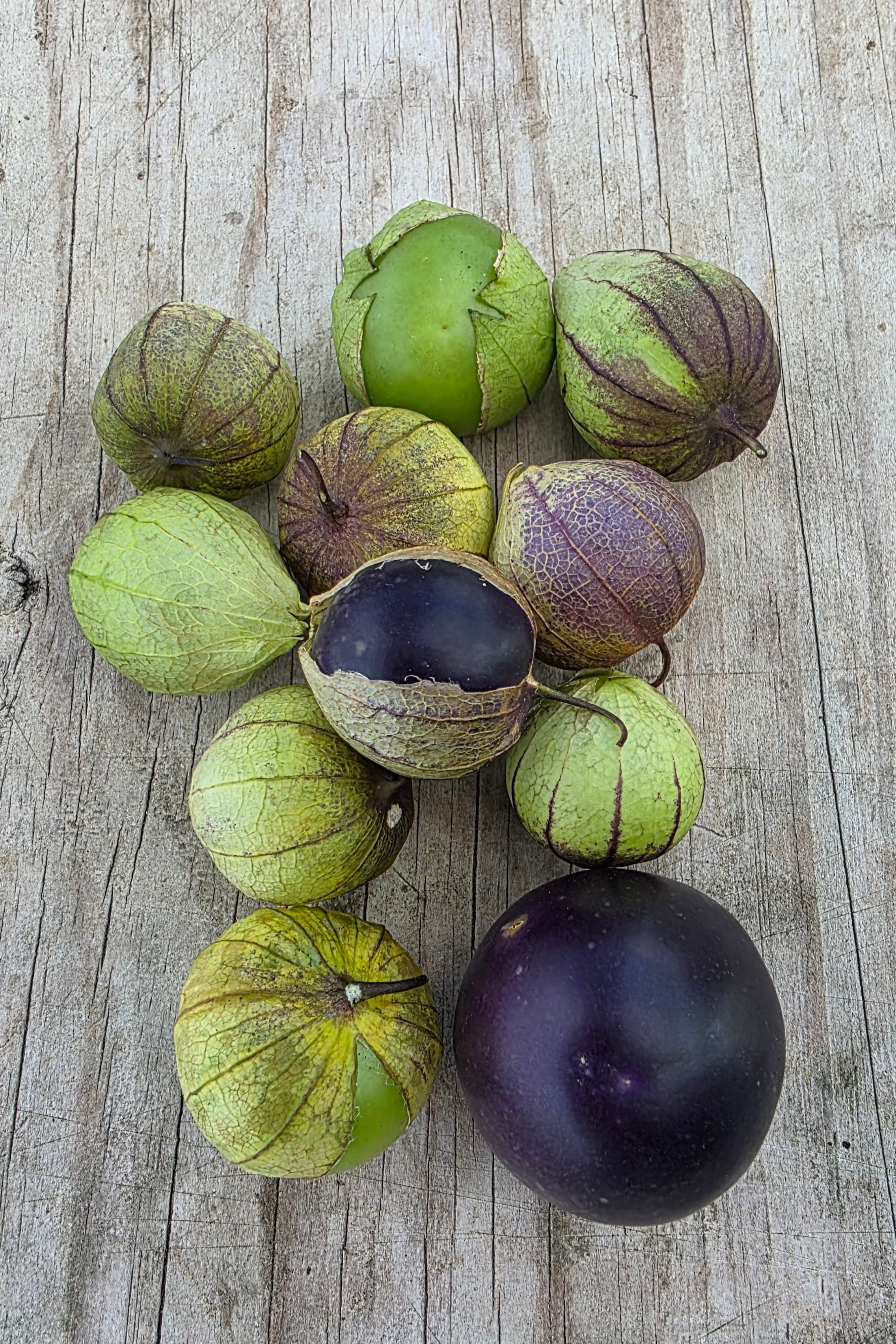 Tomatillos de Milpa