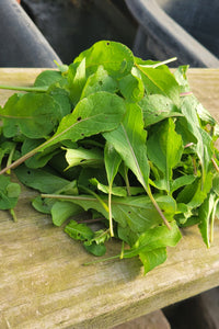 "Somewhat Compromised" Arugula