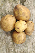 Yukon Gold Potatoes