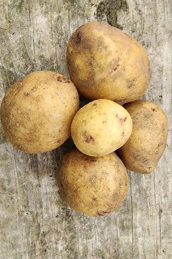 Yukon Gold Potatoes