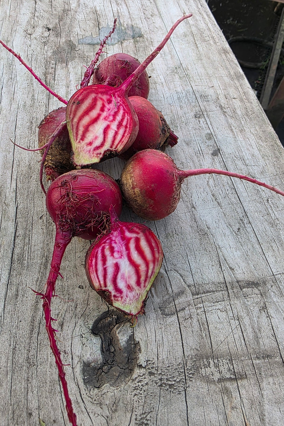 Beets (Multi-Variety)