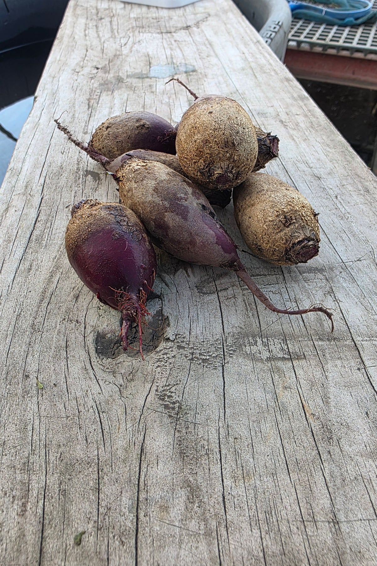 Beets (Multi-Variety)