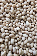 Navy Beans-Beans-Three Sisters Garden