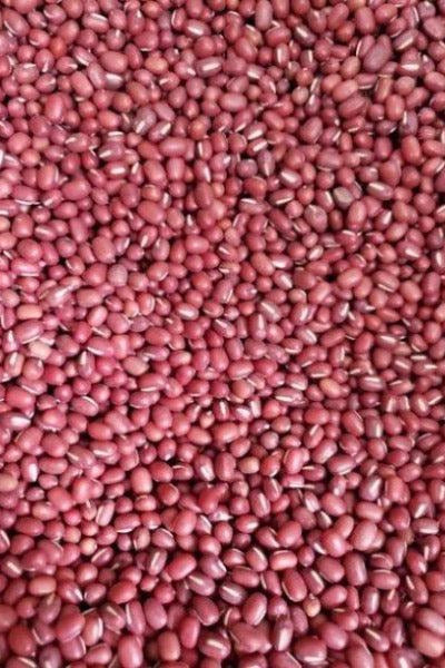 Adzuki Beans-Beans-Three Sisters Garden