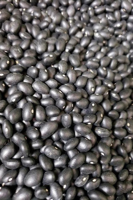 Black Beans-Beans-Three Sisters Garden