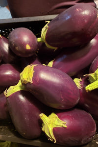 Italian Eggplant-Eggplant-Three Sisters Garden