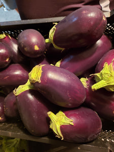 Italian Eggplant-Eggplant-Three Sisters Garden