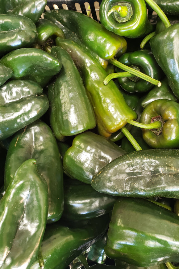 Poblano Peppers-Peppers-Three Sisters Garden