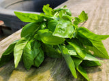 Lemon Verbena