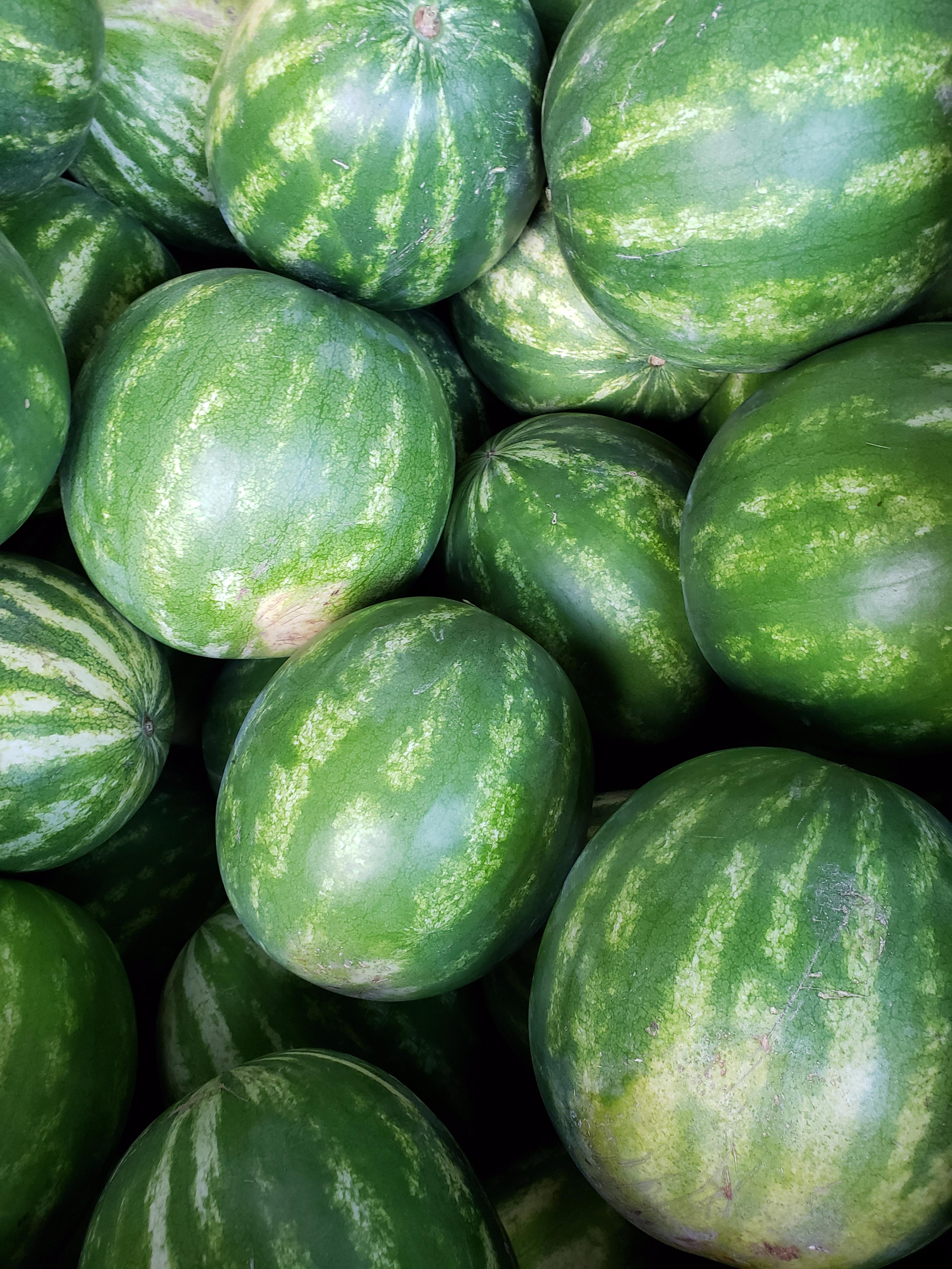 Red Seedless Watermelon-Melon-Three Sisters Garden