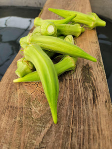 Okra