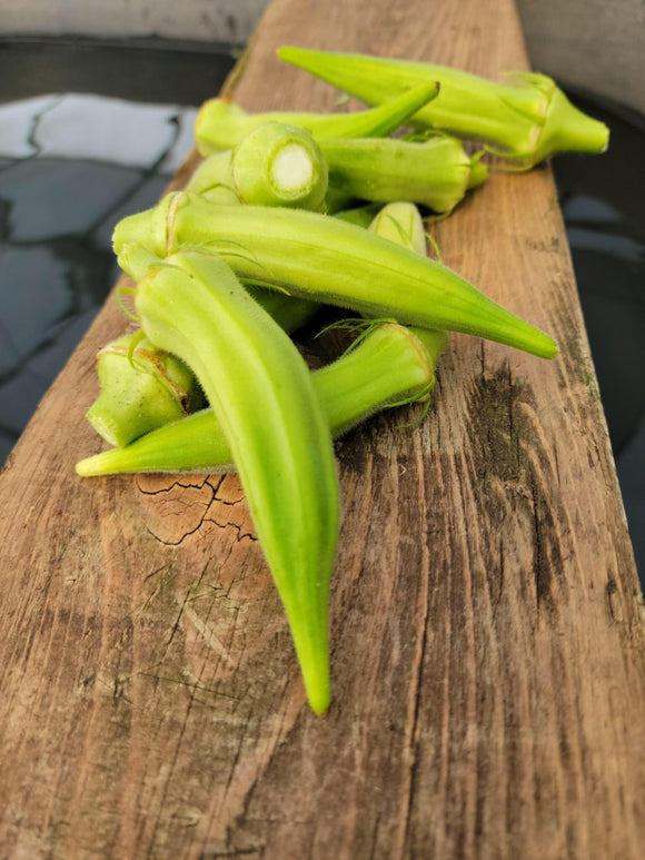 Okra