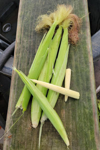 Baby Corn