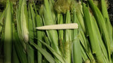 Baby Corn-Corn-Three Sisters Garden