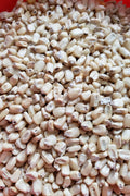 Whole White Corn-Corn-Three Sisters Garden