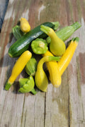 Baby Mixed Summer Squash