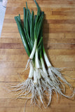 Spring Onions