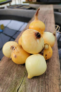 Summer Onions