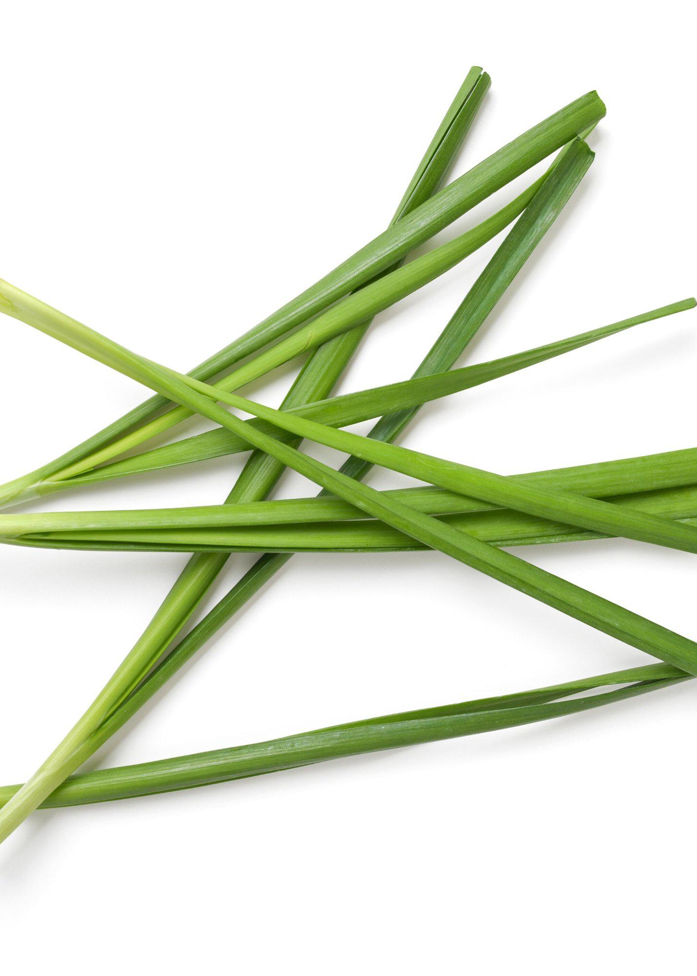 Garlic Chives-Herbs-Three Sisters Garden