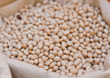 Navy Beans-Beans-Three Sisters Garden