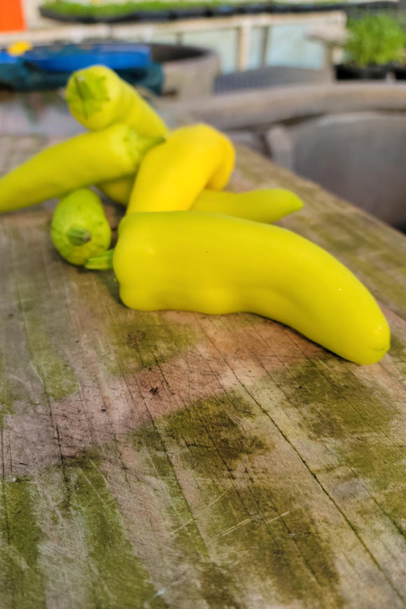 Hot Hungarian Wax Peppers